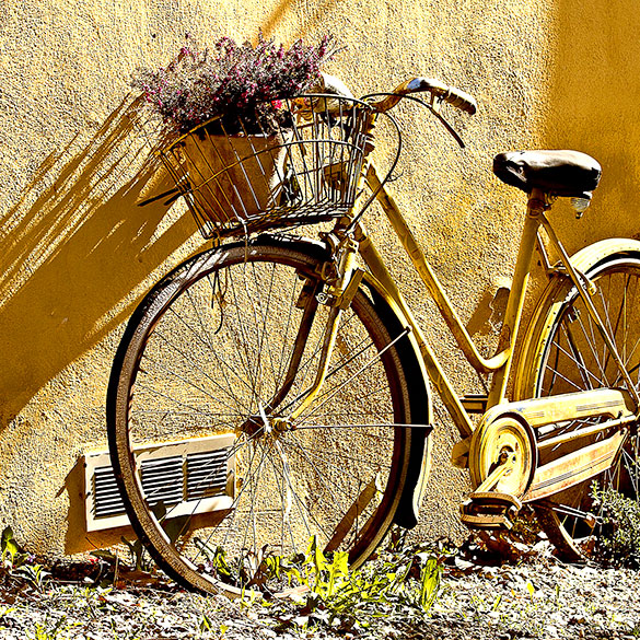 Altes Fahrrad mit Blumen